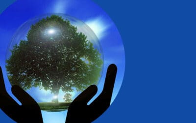 Women’s Action in combatting climate change