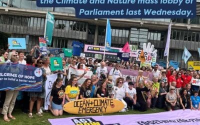 Climate and Nature mass lobby of Parliament